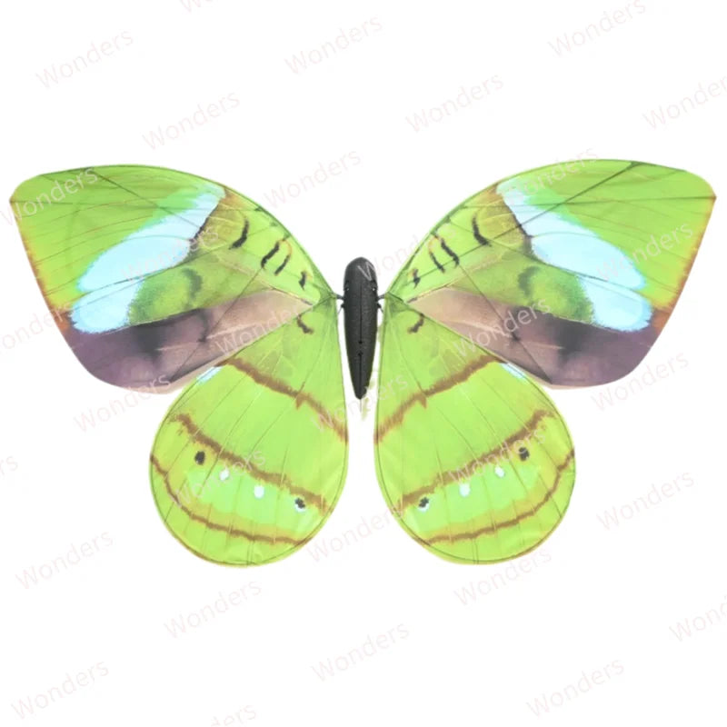 Bionic RC Butterfly Aircraft | Remote Control Ornithopter Wedding Decoration | DealersDealers