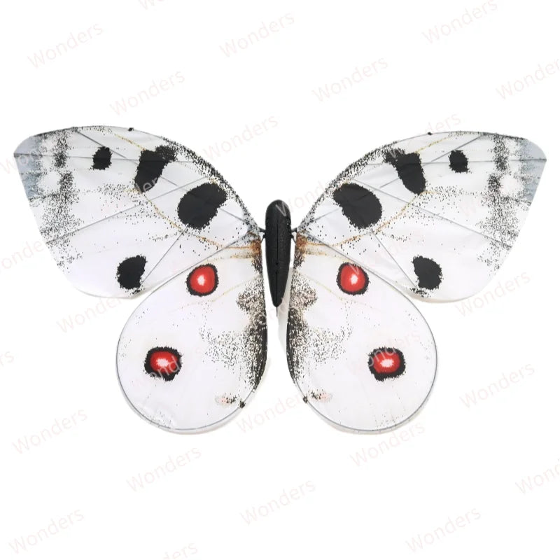 Bionic RC Butterfly Aircraft | Remote Control Ornithopter Wedding Decoration | DealersDealers