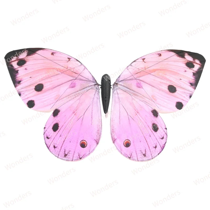 Bionic RC Butterfly Aircraft | Remote Control Ornithopter Wedding Decoration | DealersDealers